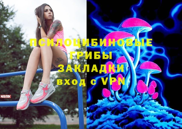 МДПВ Абинск