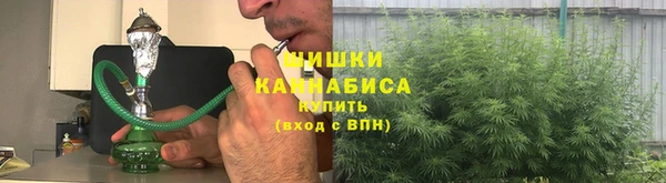дмт Абаза