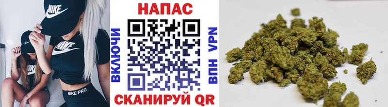 Конопля гибрид  купить закладку  Иланский 
